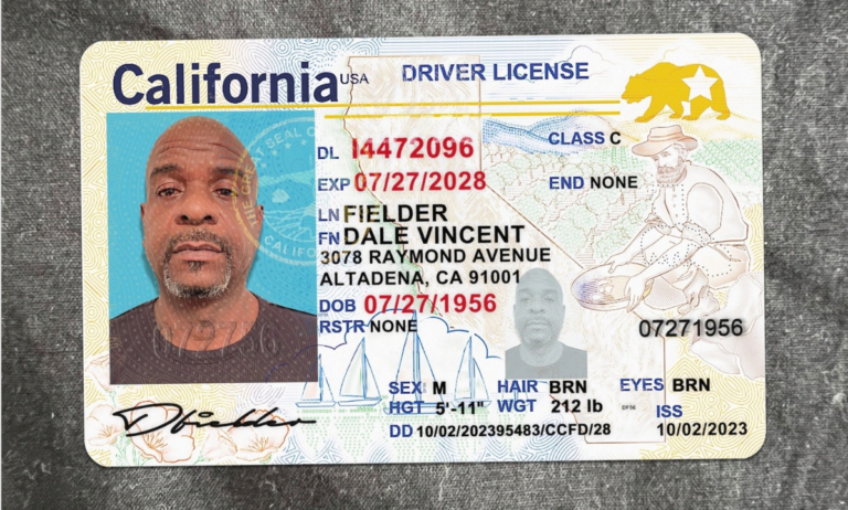How to buy a fake driver license