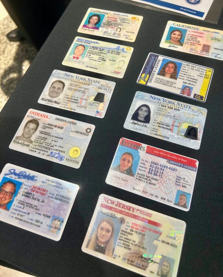 Drivers license fake